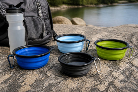 Best Portable Water Bowls for Travel: 2026