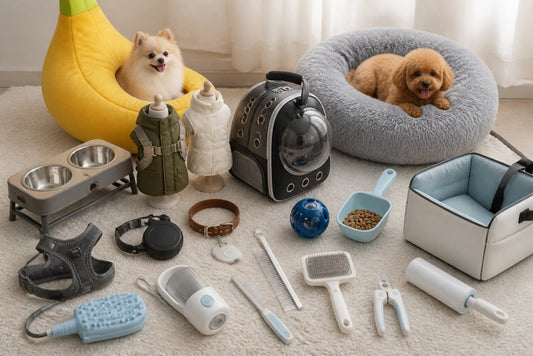 Buy High Quality Dog Apparel Online: 6 Best Options