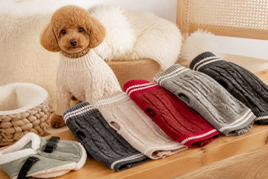 Buy High Quality Dog Sweaters: A 2026 Guide