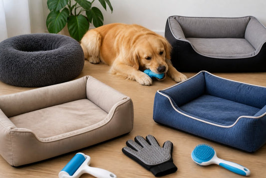 Durable Pet Beds for Chewers: 10 Best Chew-Proof Options