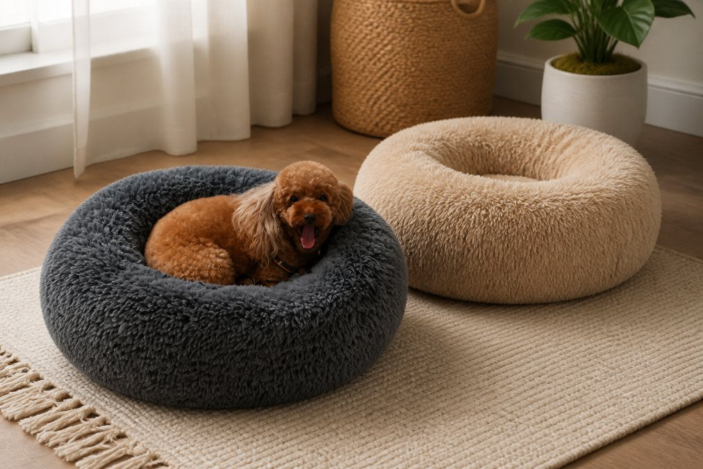 Luxury Dog Beds: 2026 Guide to Premium Comfort
