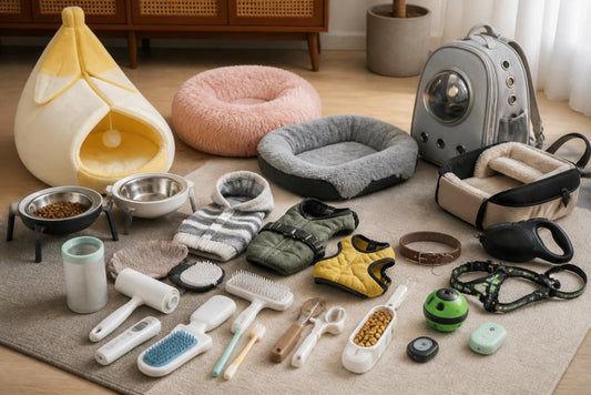 Stylish Pet Accessories for Modern Homes
