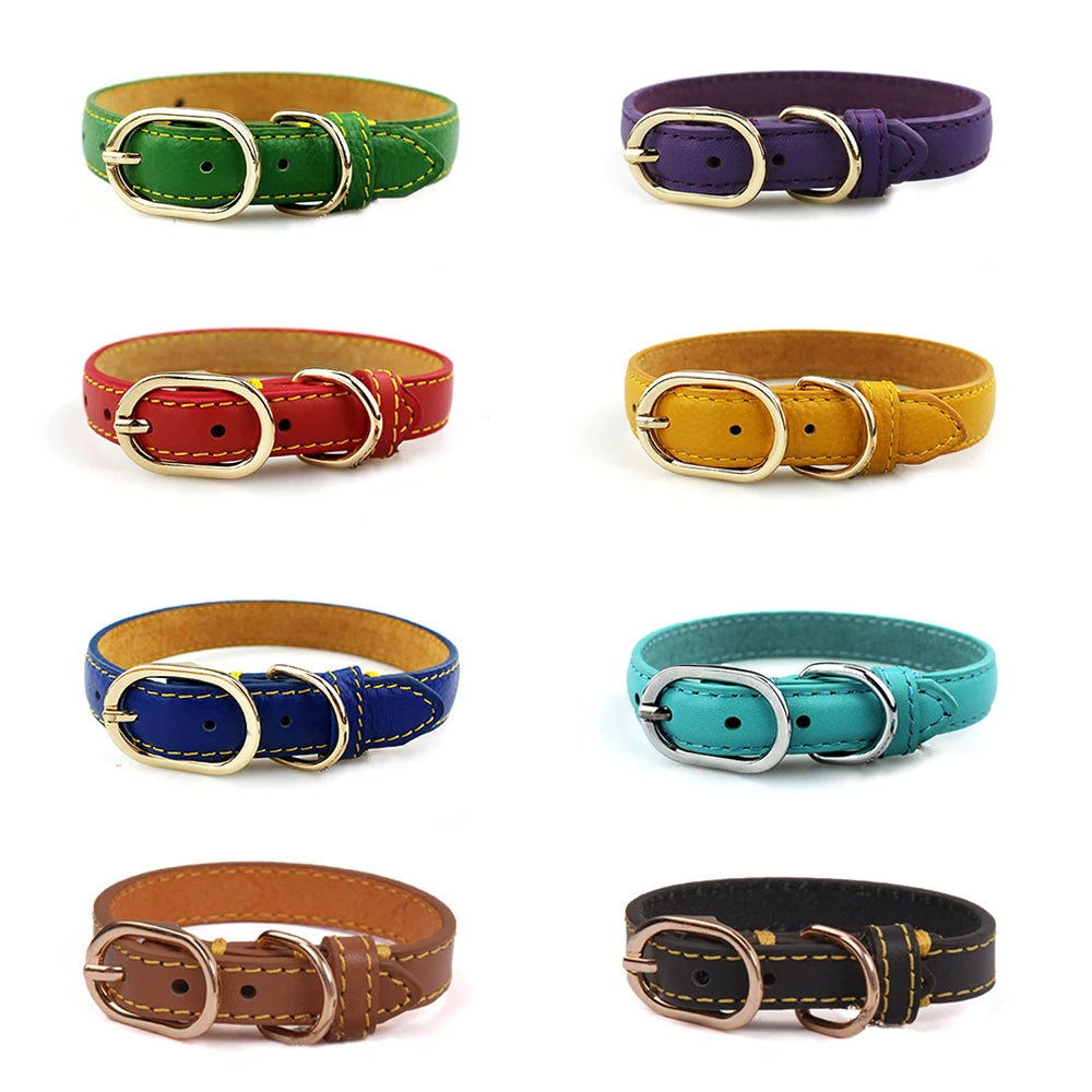 Classic Leather Dog Collar with Hangtag