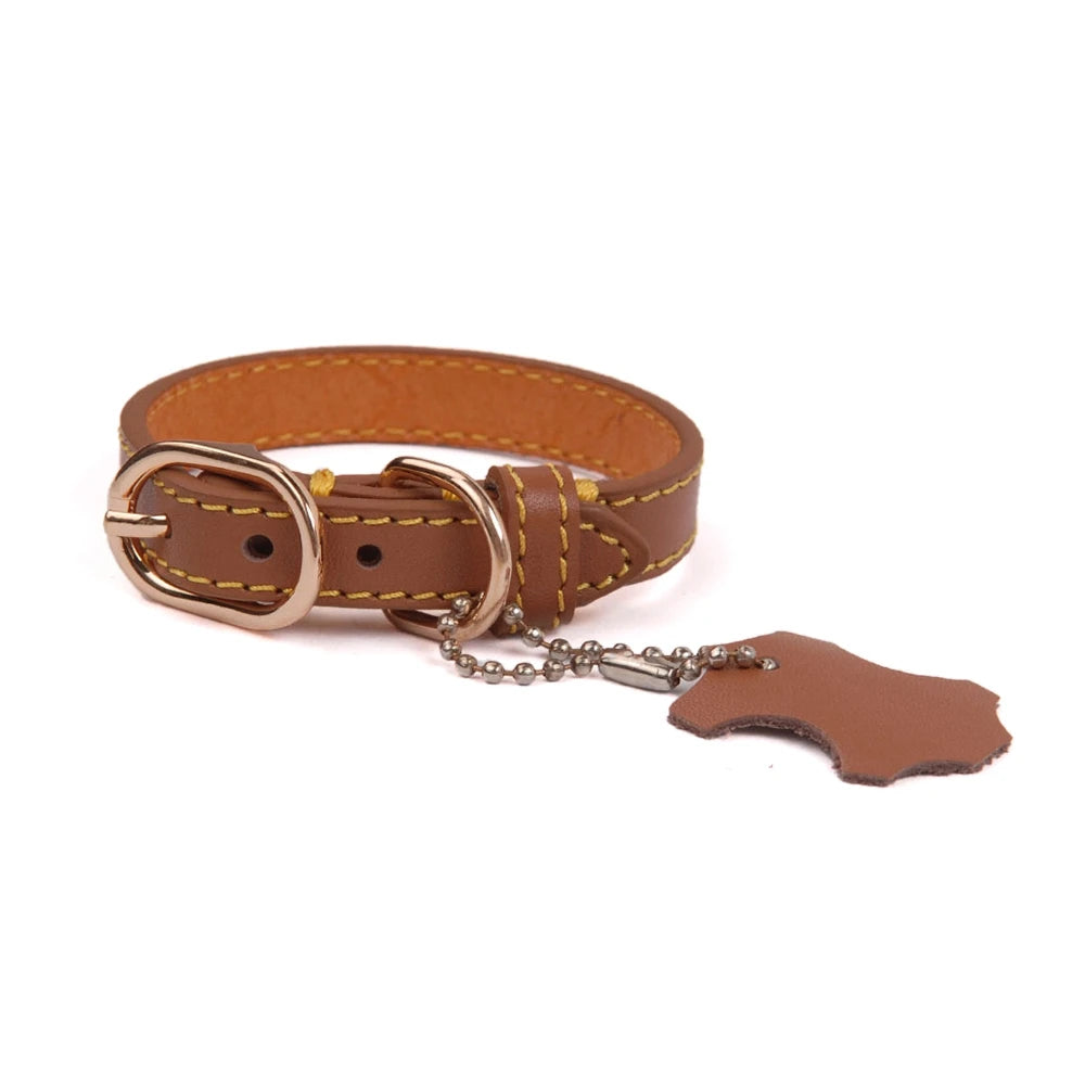 Classic Leather Dog Collar with Hangtag