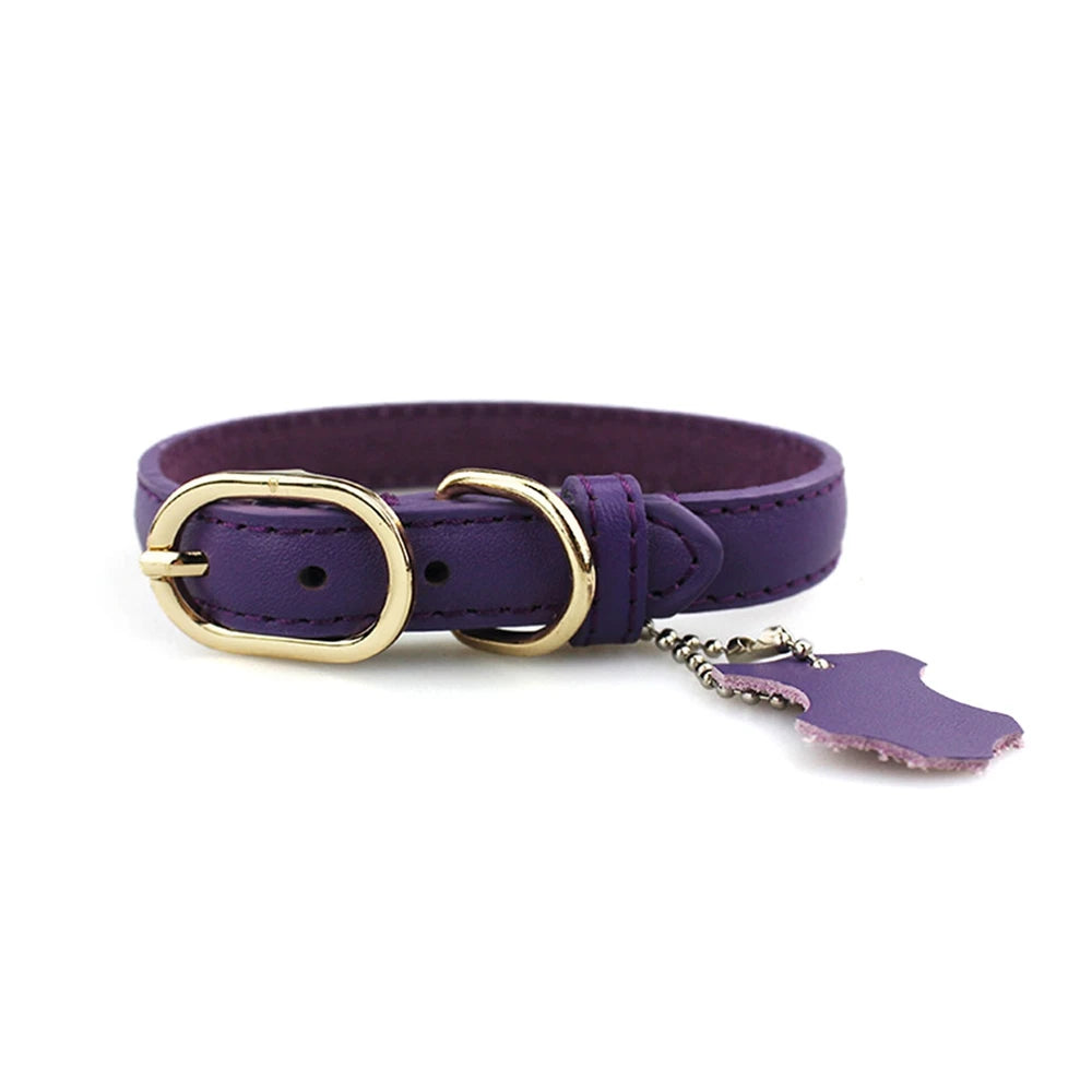 Classic Leather Dog Collar with Hangtag