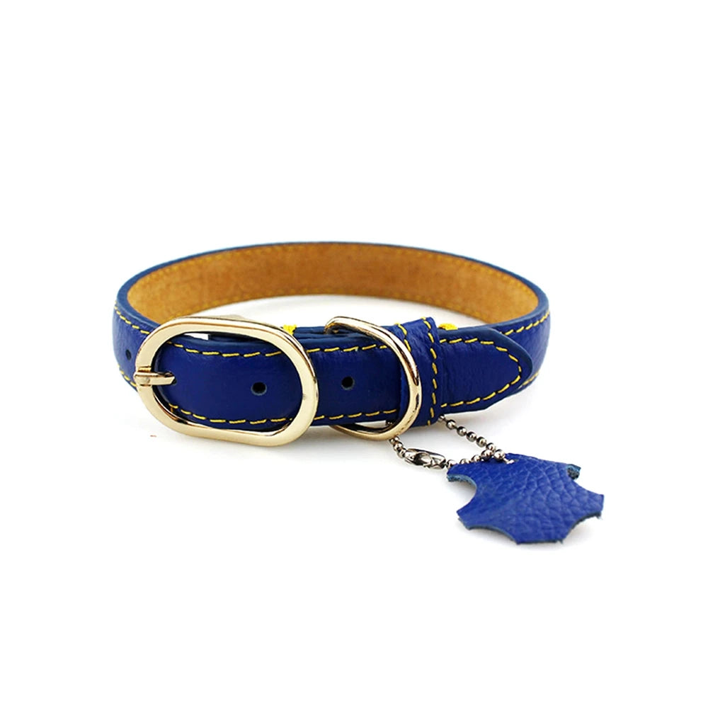 Classic Leather Dog Collar with Hangtag