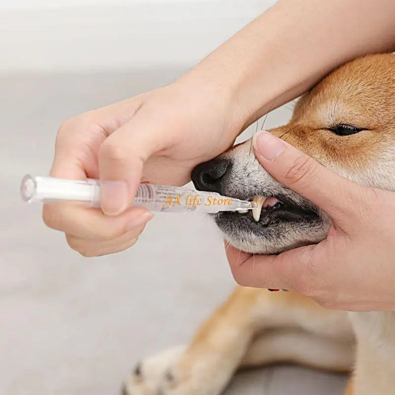 Pet Teeth Cleaning Pen
