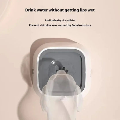 Spill-Proof Pet Travel Water Bowl